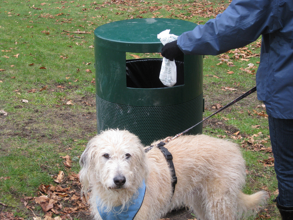 Owner putting dog waste in a bin