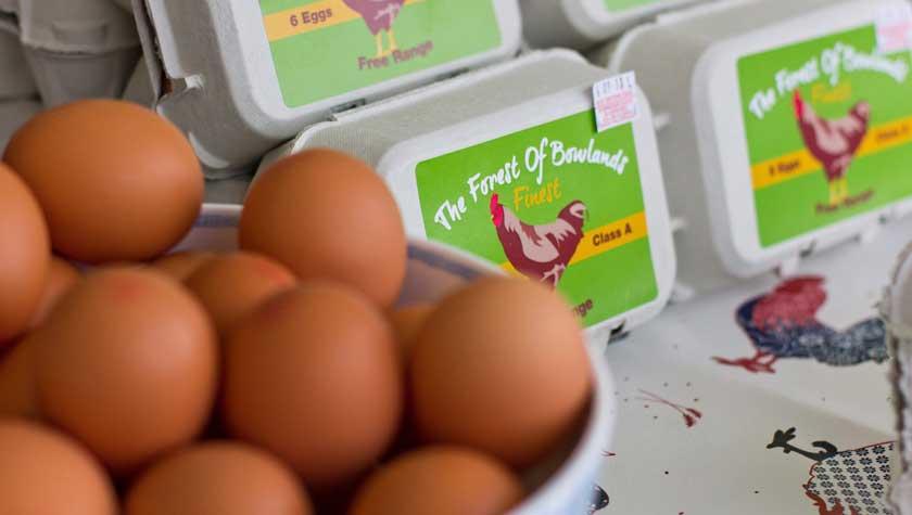 Eggs and egg boxes