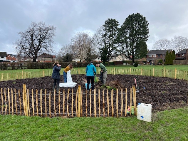 People gathered around and planting saplings