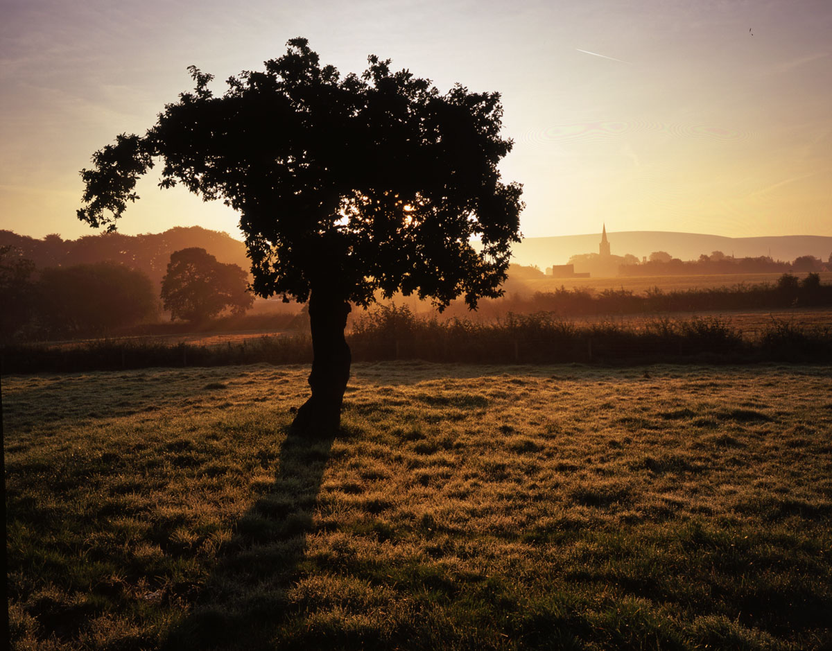 Misty morning clitheroe