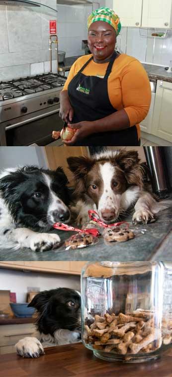 3 Images. 1st picture image of Mama Shar and 2 images of dog's with dog biscuits