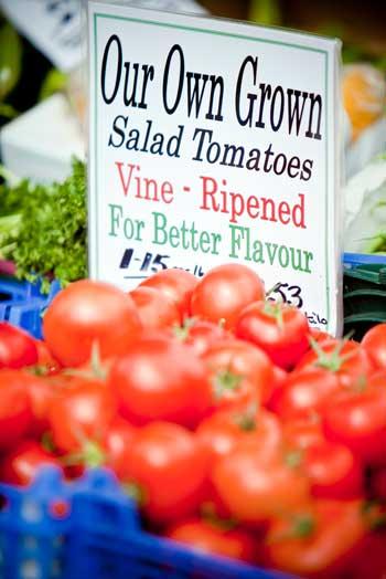 Clitheroe food festival picture of own grown tomatoes