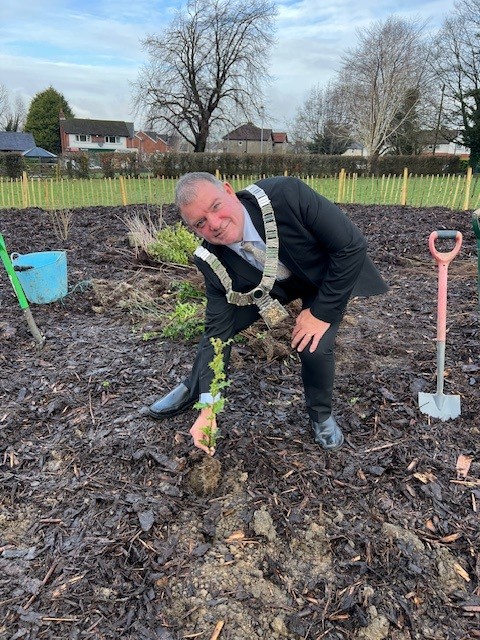 Mayor of Ribble Valley bending down to plant sapling