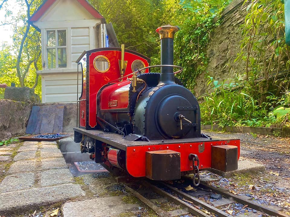 Ribble valley live steamers red engine